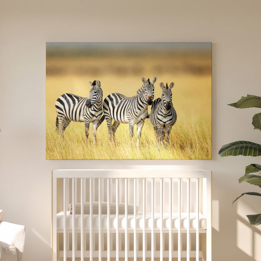 Leinwandbild Zebra-Trio - Fotografie Afrikanische Savannentiere - Wohnzimmer Wanddeko
