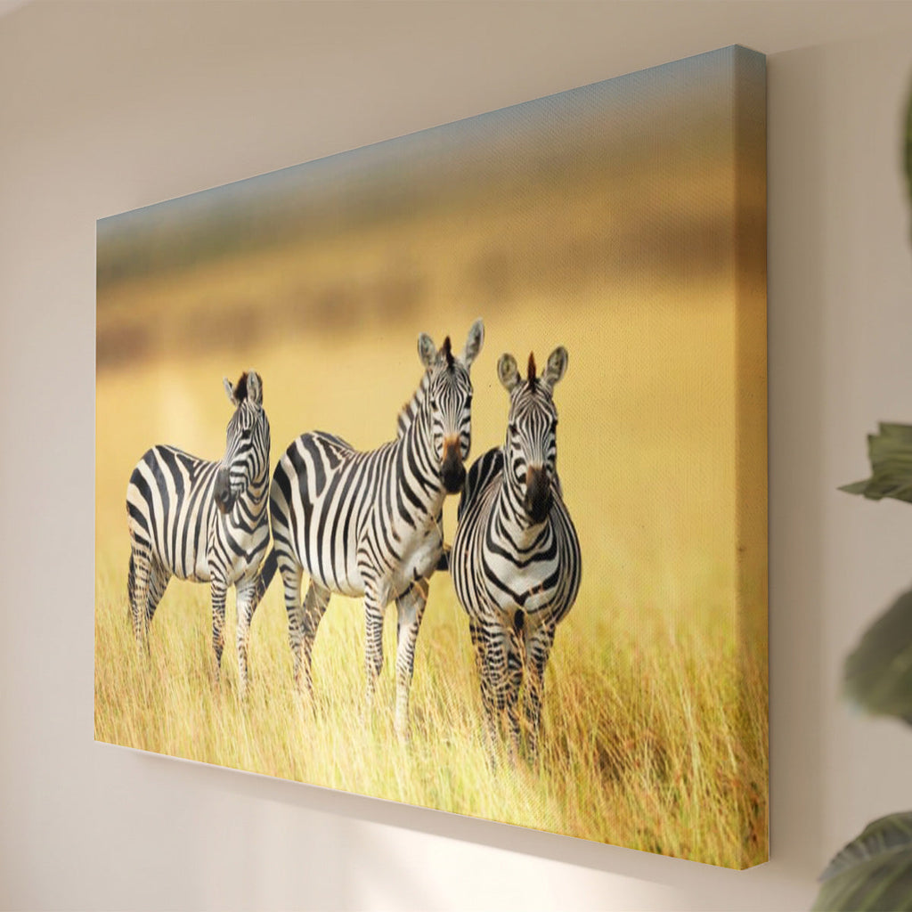 Leinwandbild Zebra-Trio - Fotografie Afrikanische Savannentiere - Wohnzimmer Wanddeko