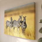 Leinwandbild Zebra-Trio - Fotografie Afrikanische Savannentiere - Wohnzimmer Wanddeko