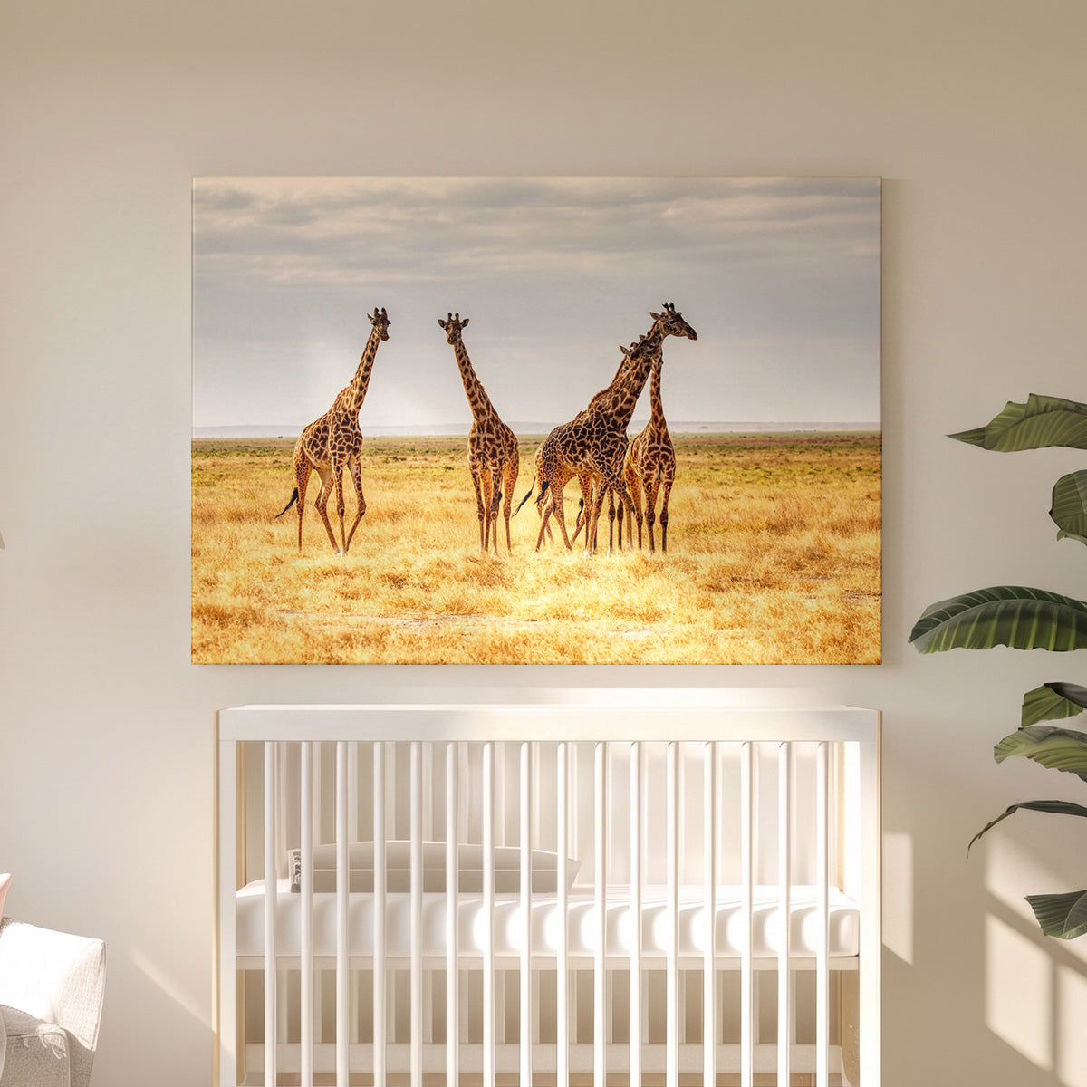 Leinwandbild Giraffenherde - Landschaftsfotografie Safari-Savanne - Moderne Innendekoration