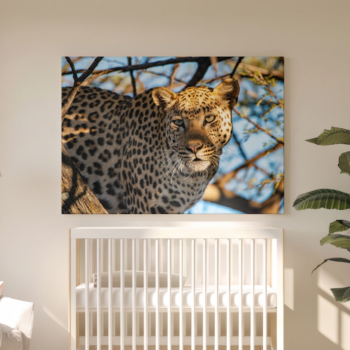 Leinwandbild Leopard Porträt - Wildtierfotografie Afrikanische Savanne - Wohnzimmer Wanddeko