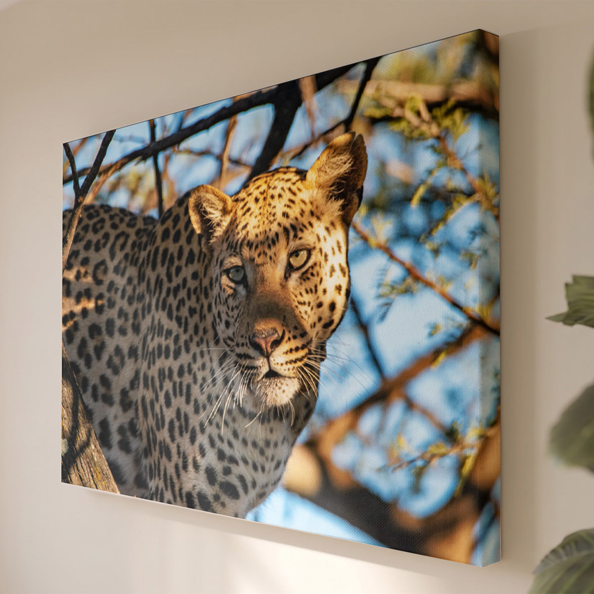 Leinwandbild Leopard Porträt - Wildtierfotografie Afrikanische Savanne - Wohnzimmer Wanddeko