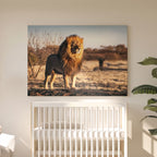 Leinwandbild Porträt König der Löwen - Naturfotografie Savannentiere - Wohnzimmer Wanddeko