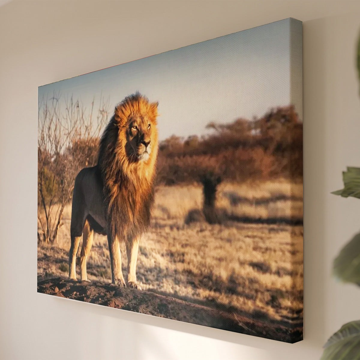 Leinwandbild Porträt König der Löwen - Naturfotografie Savannentiere - Wohnzimmer Wanddeko