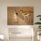 Leinwandbild Gazellenpaar - Wildtierfotografie Afrikanische Savanne - Natur-Innendekoration