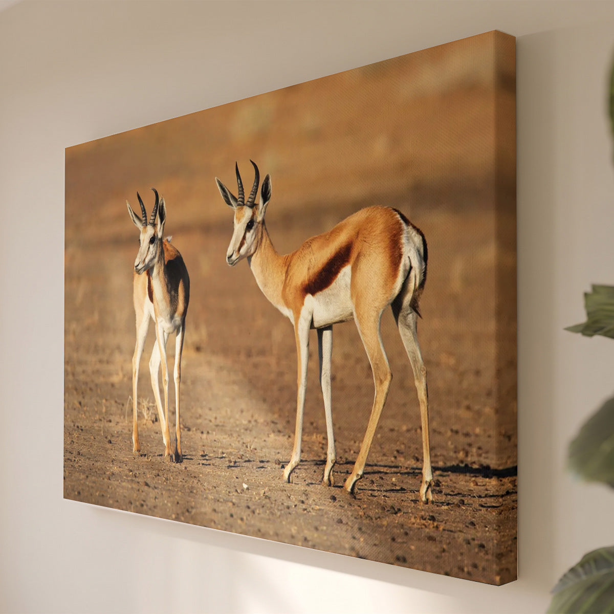 Leinwandbild Gazellenpaar - Wildtierfotografie Afrikanische Savanne - Natur-Innendekoration