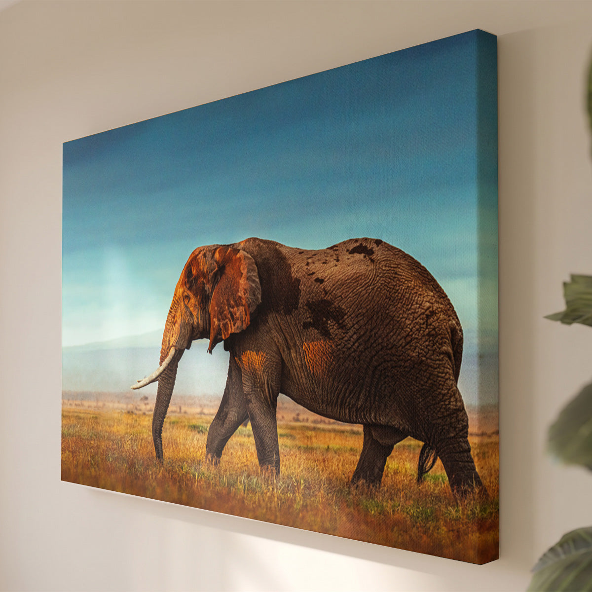 Leinwandbild Afrikanischer Elefant - Porträtfotografie Savannentiere - Wohnzimmer Wanddeko
