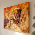 Leinwandbild Junger Gepard im Gras - Savannentier Fotografie - Wohnzimmer Wanddeko
