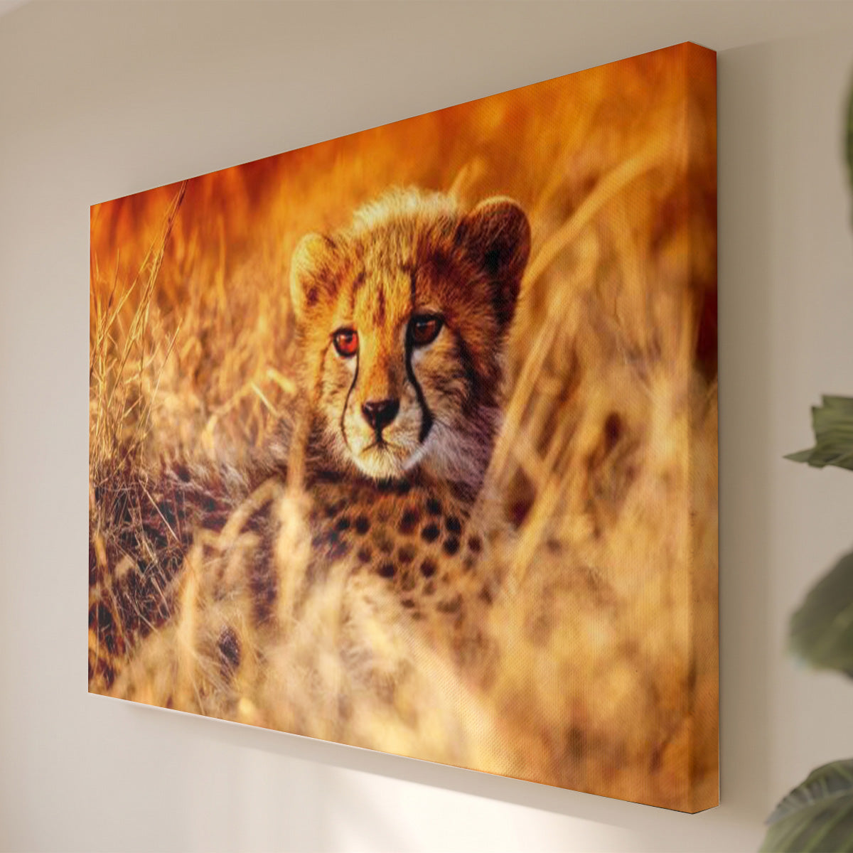 Leinwandbild Junger Gepard im Gras - Savannentier Fotografie - Wohnzimmer Wanddeko