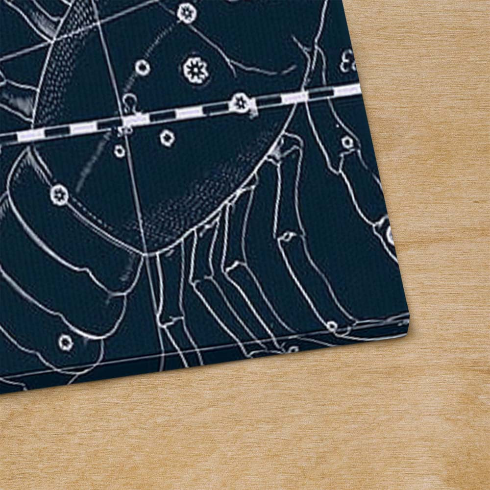 Leinwandbild Sternzeichen Zwillinge Zwillingssterne