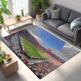 Spielfeld der BayArena Teppich 3