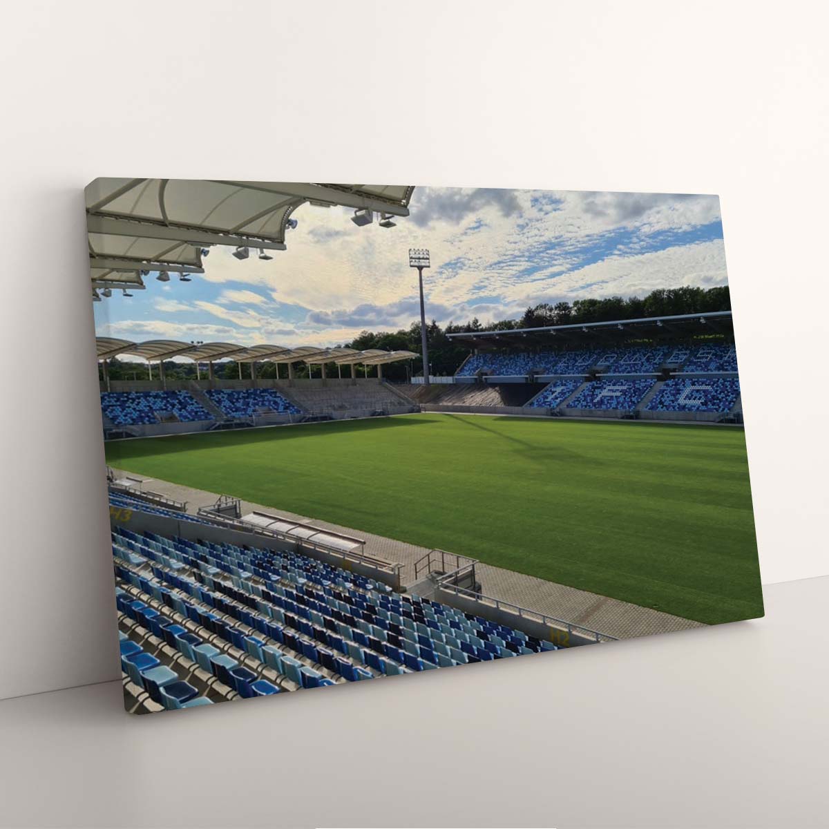 1. FC Saarbrücken Spielfeld Ludwigspark Stadion 2 Leinwandbilder – Bild 3