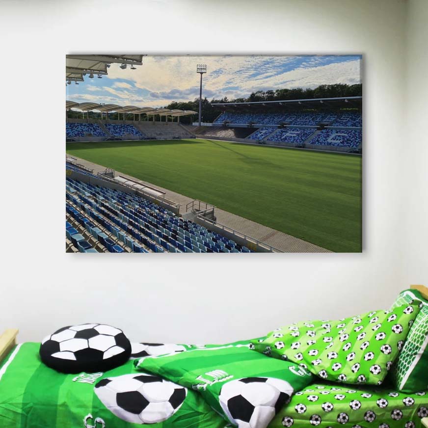 1. FC Saarbrücken Spielfeld Ludwigspark Stadion 2 Leinwandbilder – Bild 4