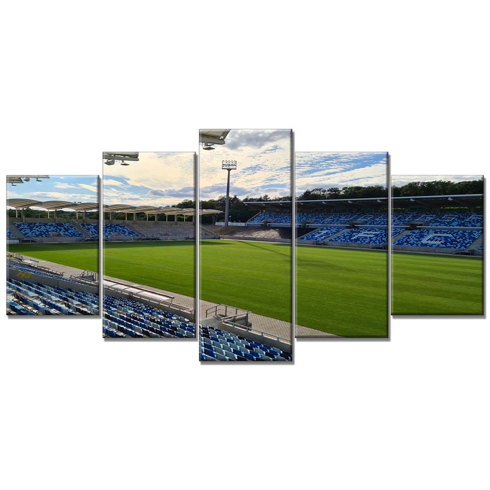 1. FC Saarbrücken Spielfeld Ludwigspark Stadion 2 Leinwandbilder