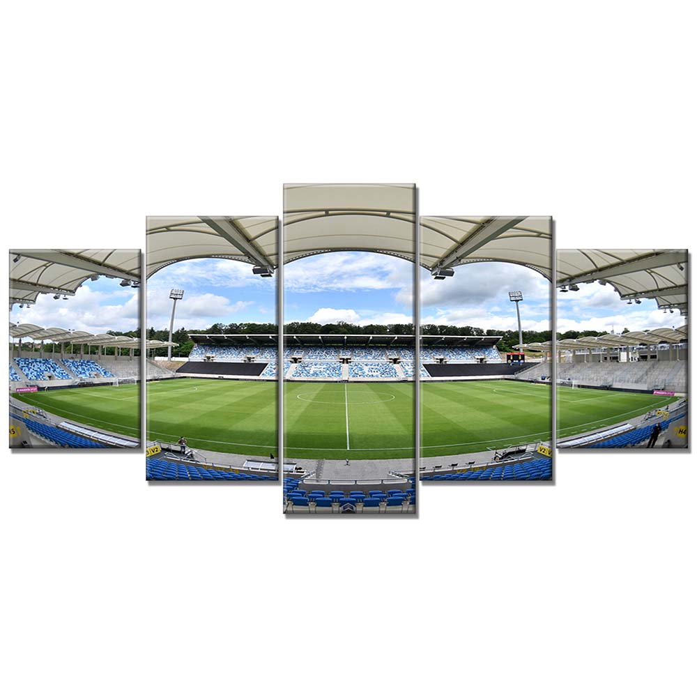 1. FC Saarbrücken Spielfeld Ludwigspark Stadion 3 Leinwandbilder