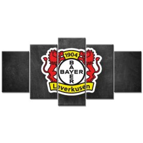 Bayer 04 Leverkusen B0411 B04 Leinwandbilder
