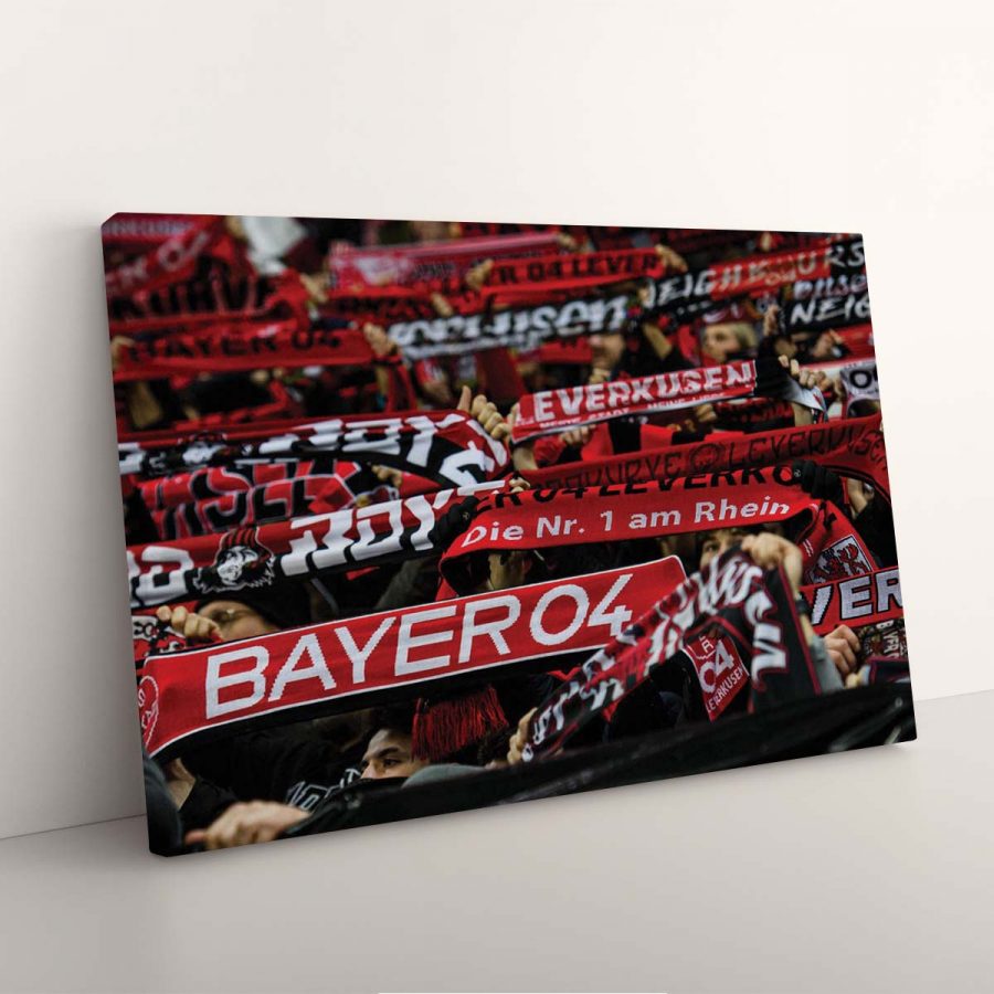 Bayer 04 Leverkusen B0422 B04 Leinwandbilder – Bild 7