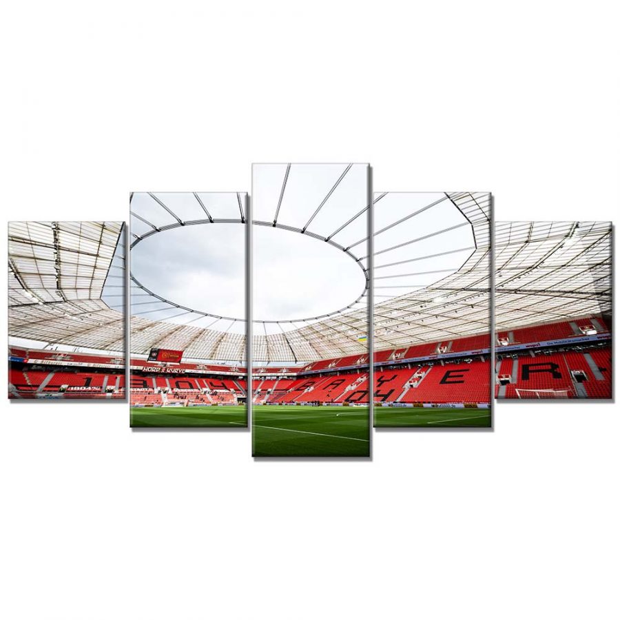 Bayer 04 Leverkusen BayArena Spielfeld 10 B04 Leinwandbilder – Bild 6