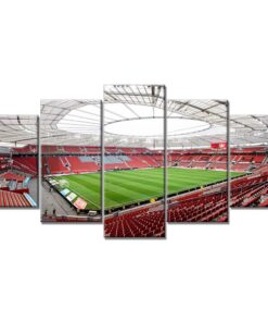Bayer 04 Leverkusen BayArena Spielfeld 2 B04 Leinwandbilder