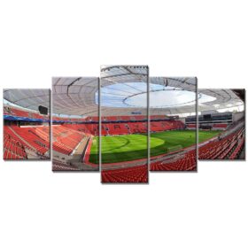 Bayer 04 Leverkusen BayArena Spielfeld 5 B04 Leinwandbilder