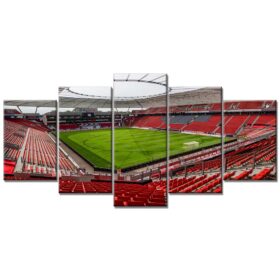 Bayer 04 Leverkusen BayArena Spielfeld 6 B04 Leinwandbilder