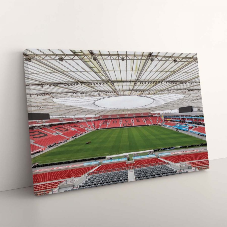 Bayer 04 Leverkusen BayArena Spielfeld 7 B04 Leinwandbilder – Bild 7
