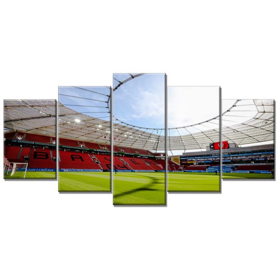 Bayer 04 Leverkusen BayArena Spielfeld 8 B04 Leinwandbilder – Bild 6