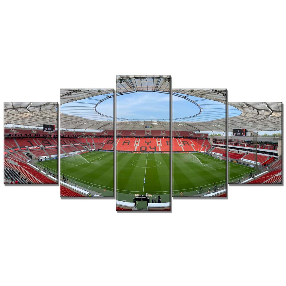 Bayer 04 Leverkusen BayArena Spielfeld 9 B04 Leinwandbilder