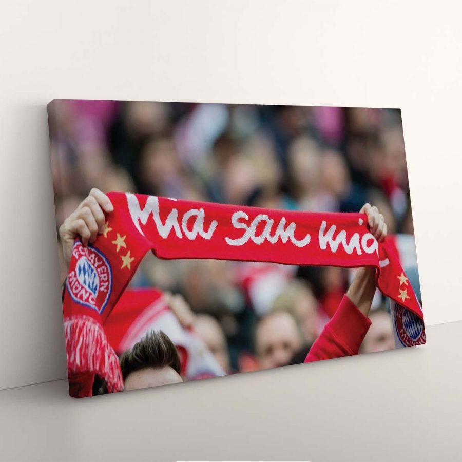 FC Bayern München Allianz Arena Spielfeld Mia san mia 2 FCB Leinwandbilder – Bild 7