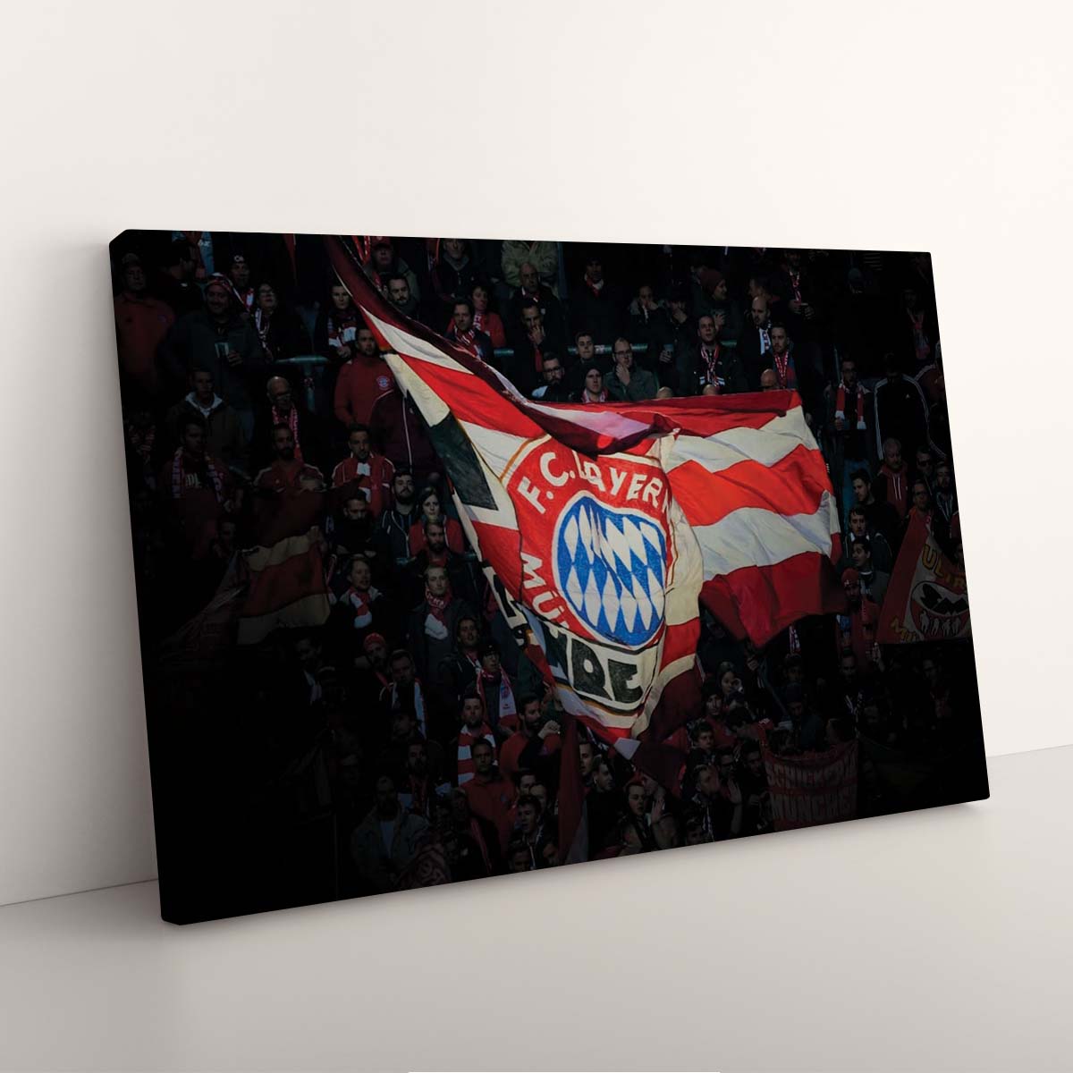 FC Bayern München Allianz Arena Spielfeld Mia san mia 8 FCB Leinwandbilder – Bild 3