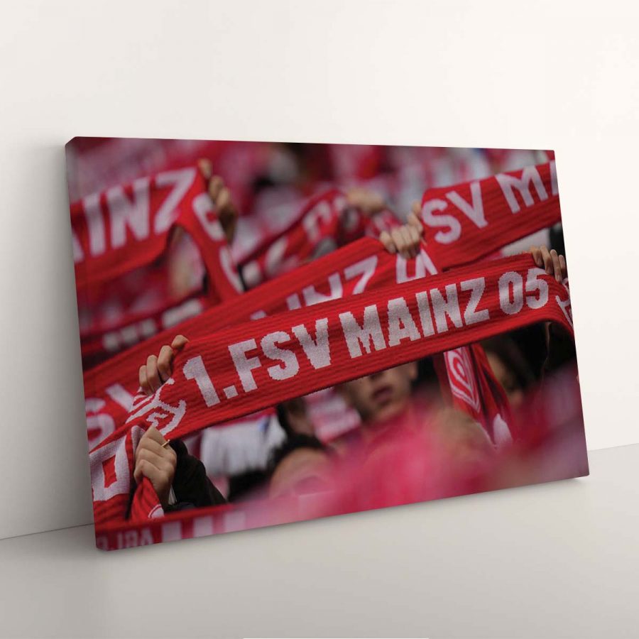 FSV Mainz 05 Fans 03 M05 Leinwandbilder – Bild 7