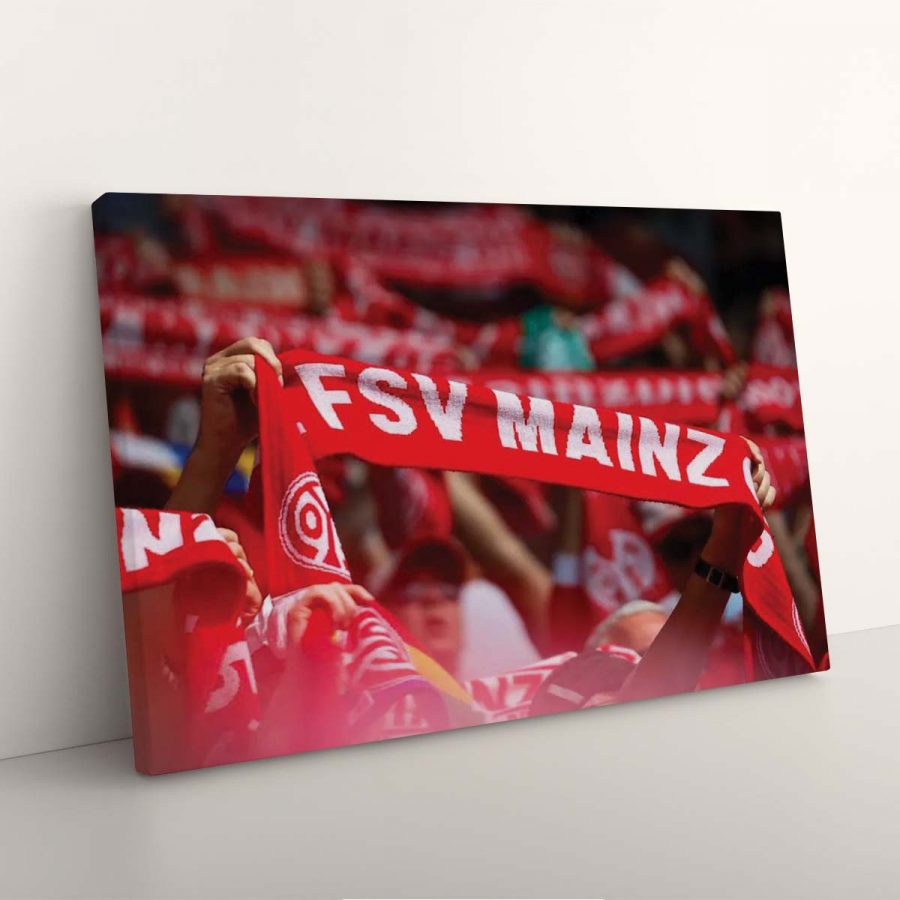 FSV Mainz 05 Fans M05 Leinwandbilder – Bild 7