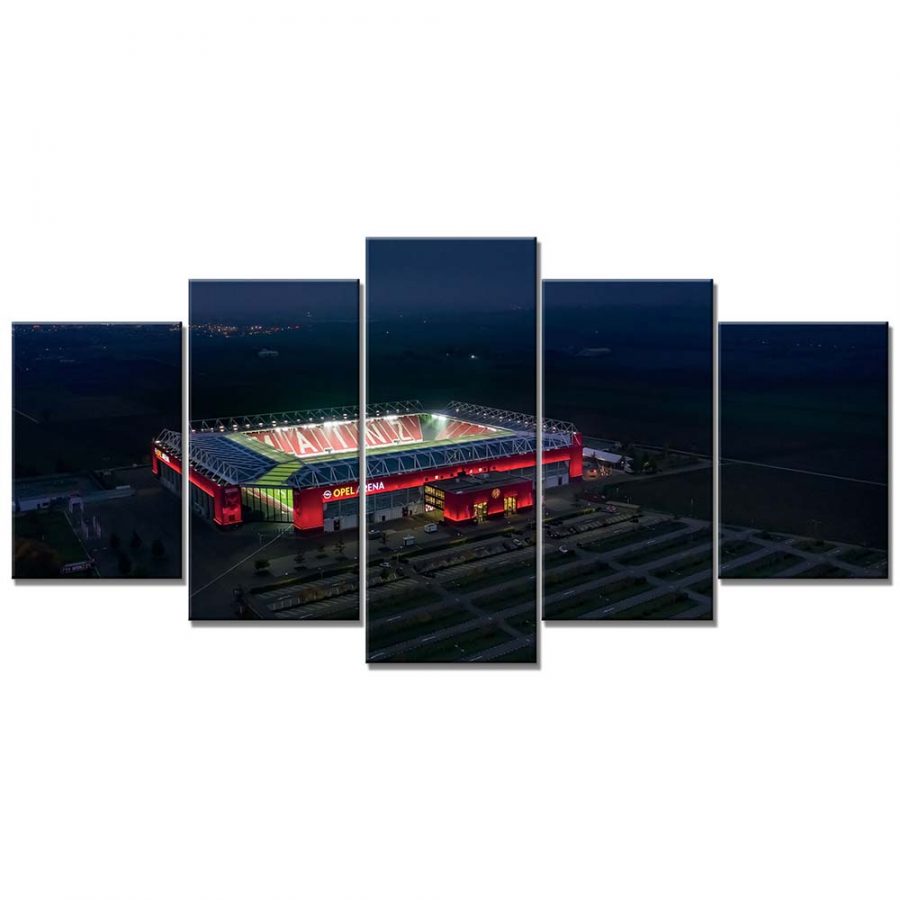 Opel Arena Mainz 05 Leinwandbilder – Bild 6